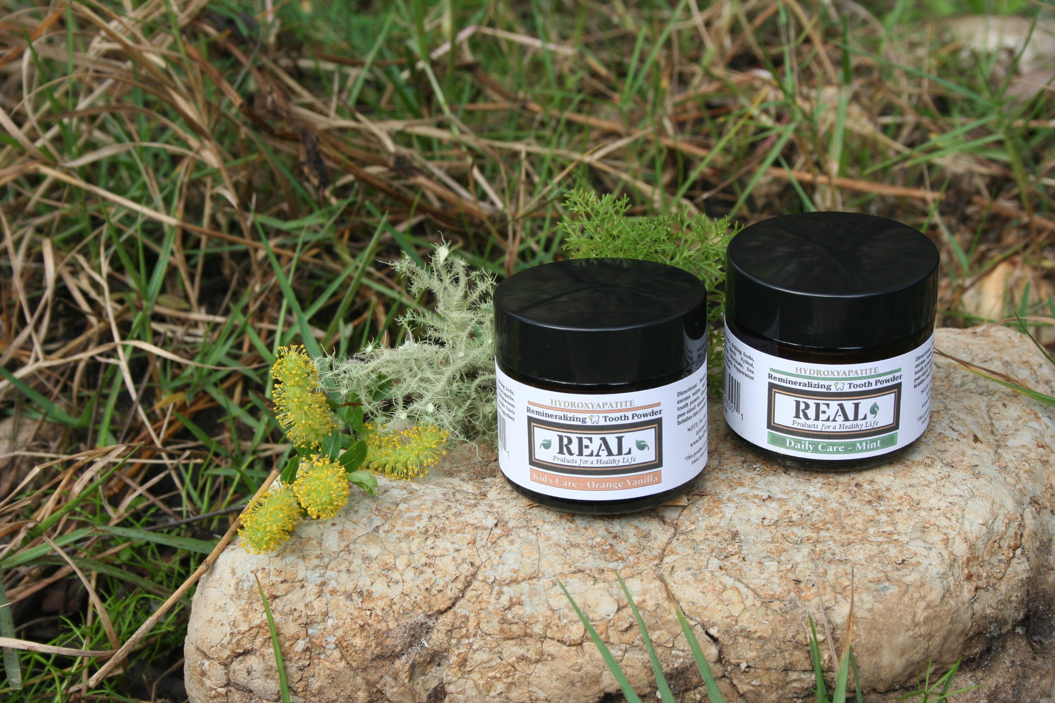 What is Tooth Powder